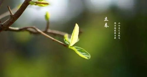 春回大地万物复苏，感恩一路有您相伴——第四届江苏优质农产品（南京）展销会圆满落幕