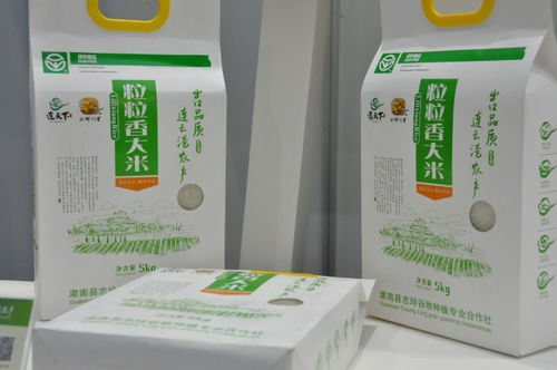 连天下 优质农产品 南京展销会盛大开幕，南京竹石引领绿色消费新风尚