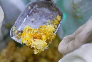 丰收正当时 浙江品质农产品集结南京 人气火爆