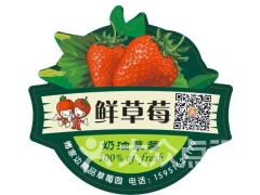 南京傅家边老朱精品草莓园 采摘、农家乐与田园时光的完美攻略